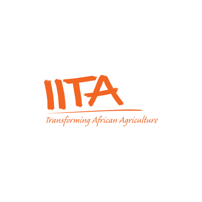 Kpododo Consult partners IITA